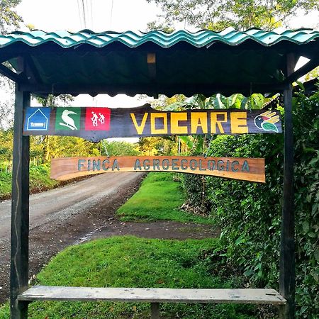 Vocare Finca Agroecologica Upala Exterior foto