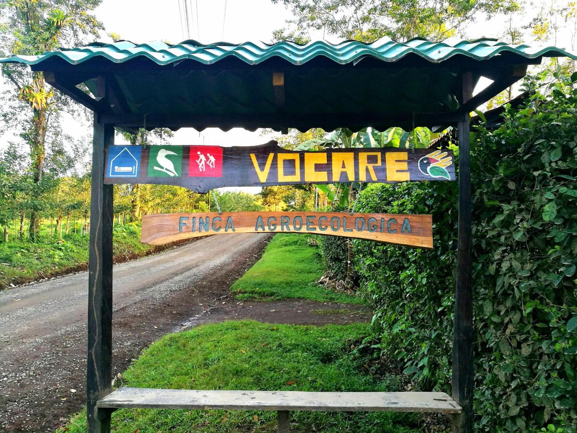 Vocare Finca Agroecologica Upala Exterior foto