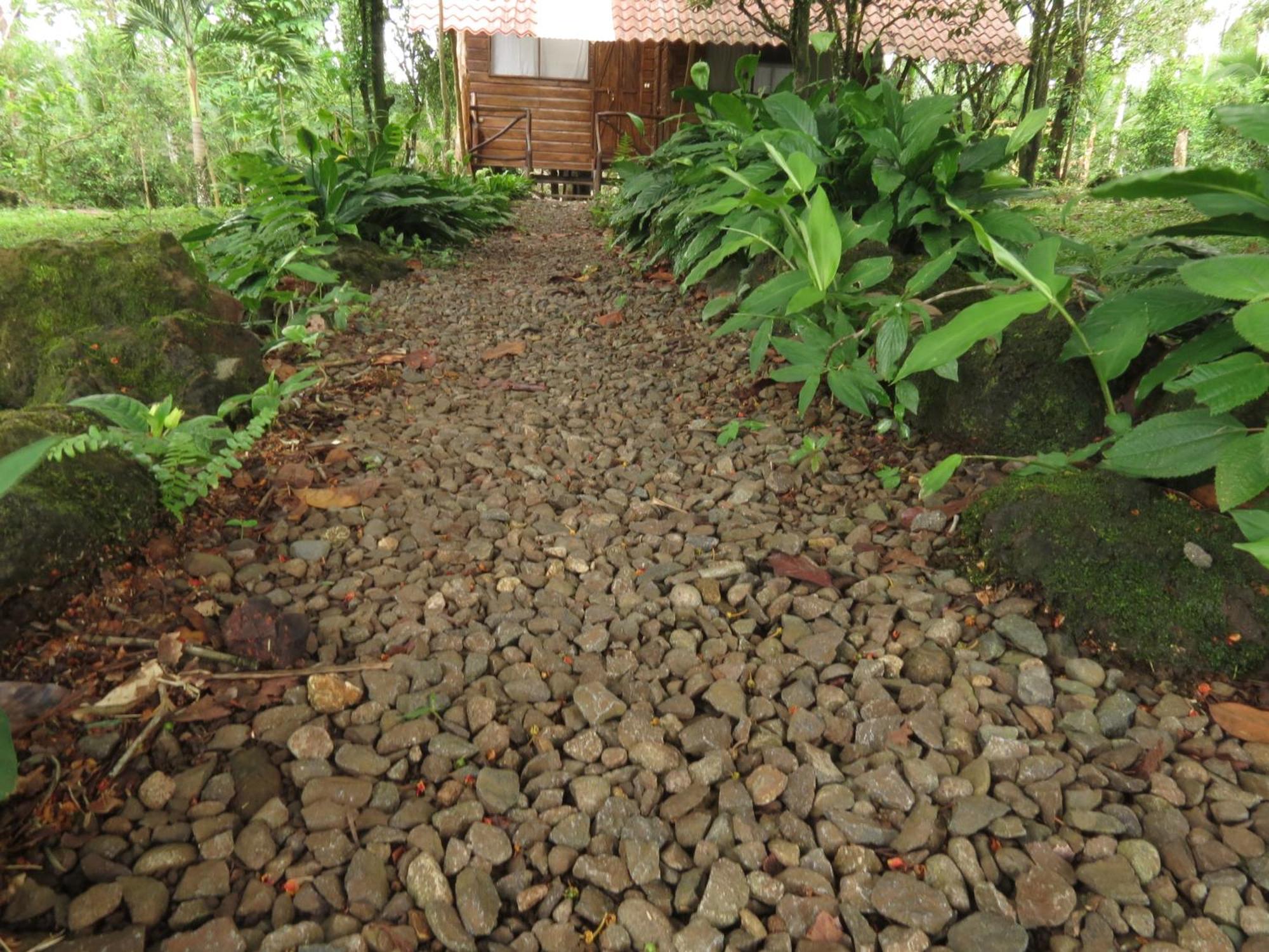 Vocare Finca Agroecologica Upala Exterior foto