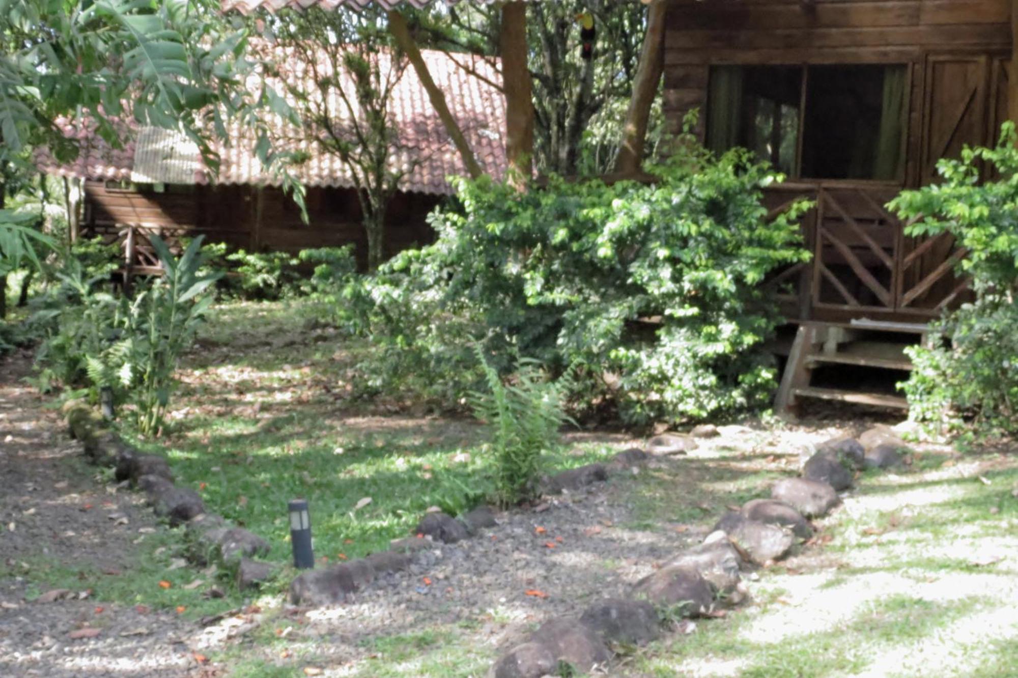 Vocare Finca Agroecologica Upala Exterior foto