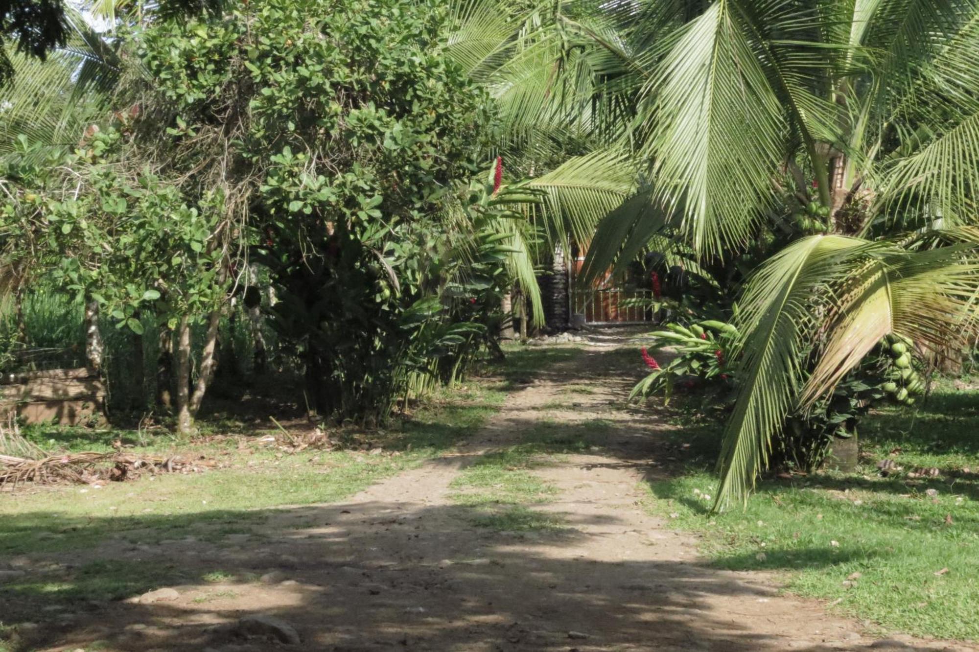 Vocare Finca Agroecologica Upala Exterior foto