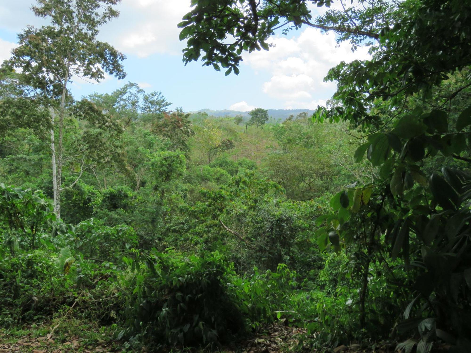Vocare Finca Agroecologica Upala Exterior foto