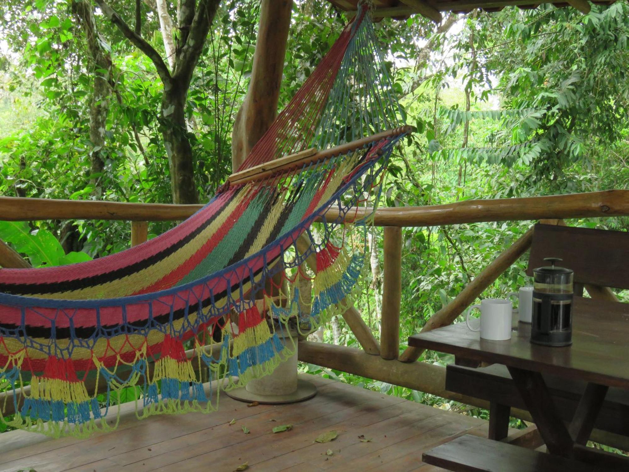 Vocare Finca Agroecologica Upala Exterior foto